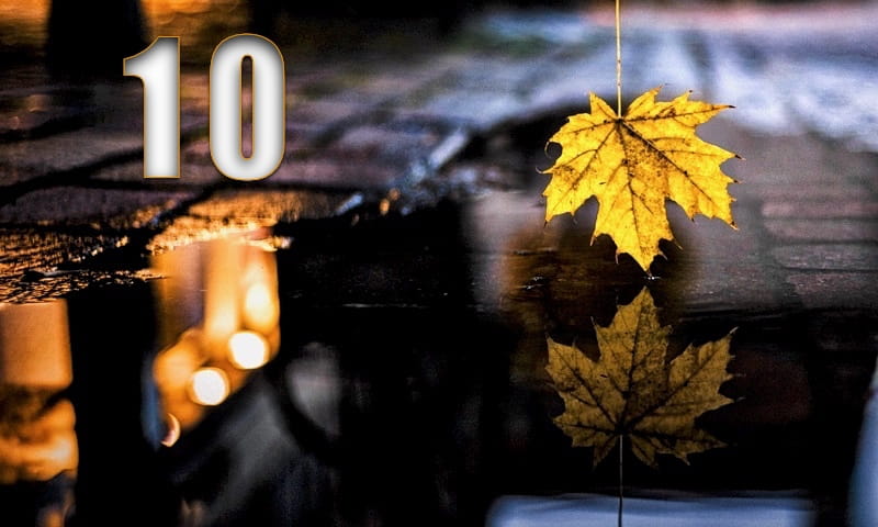 Diario dello scrittore · 0010
