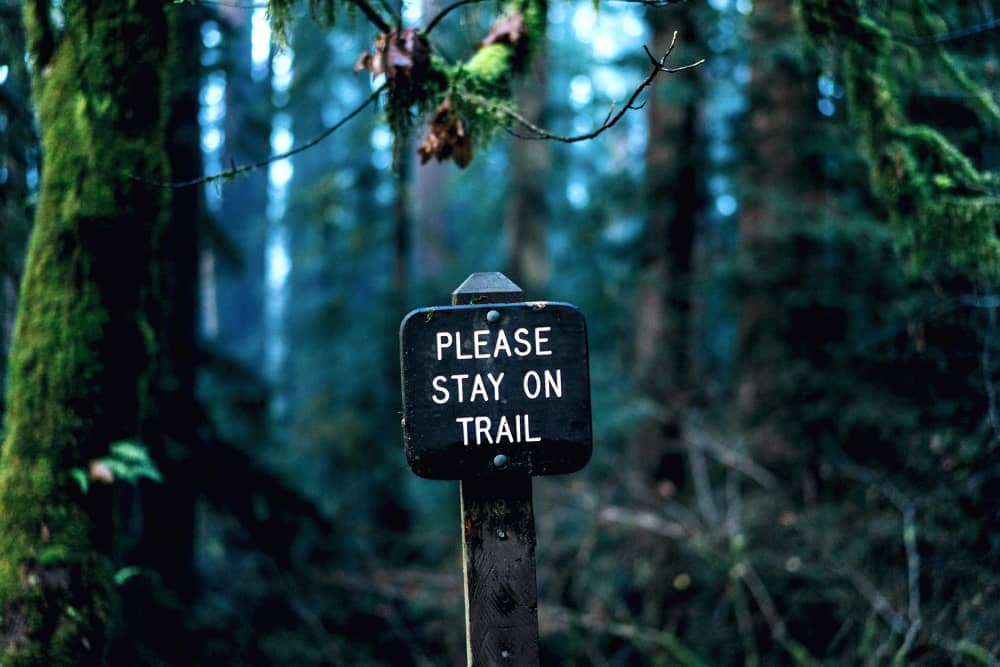 Me lo prometti? - Cartello nel bosco "Stay on trail!" - Photo by Dan Gold