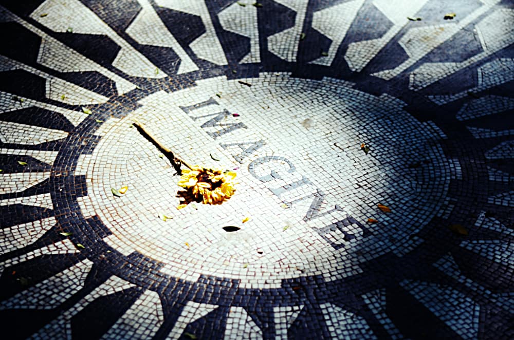 Fiore calpestato al centro di un mosaico che dice "IMAGINE"