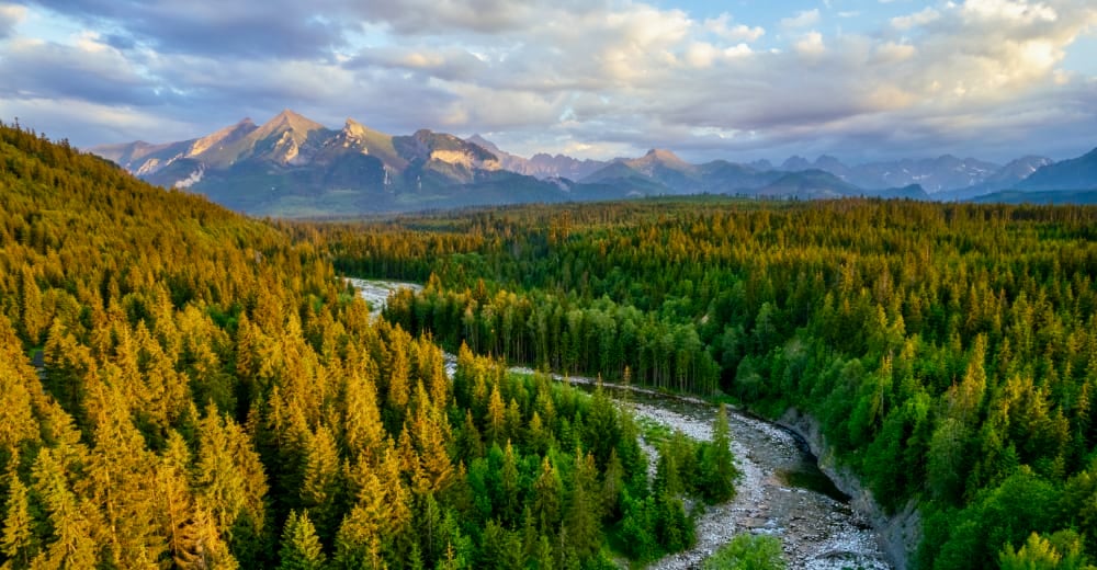 Valle boschiva con catena montuosa sullo sfondo arrossata dal tramonto - 2023, UN ALTRO MONDO · 1